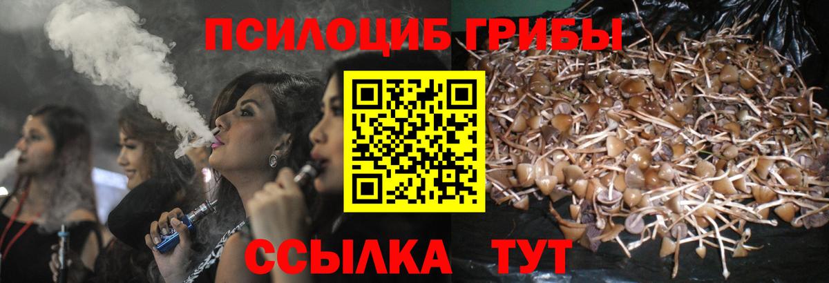 Псилоцибиновые грибы GOLDEN TEACHER Орёл