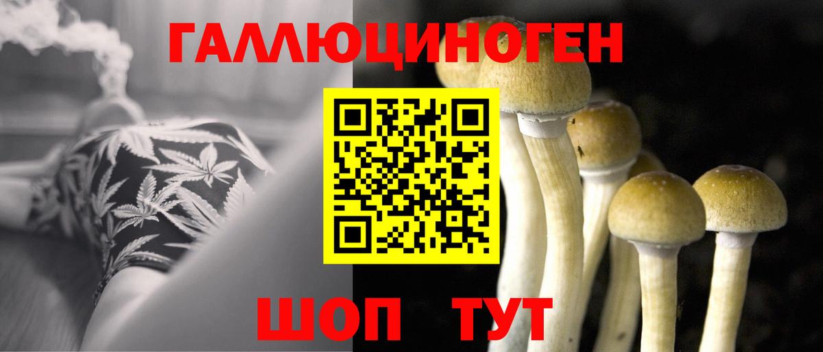 закладка  Псилоцибиновые грибы мухоморы  Вход с VPN  Орёл 